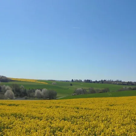 Ferien Im Hunsrueck 펜션 Beltheim