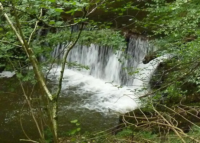 Dom wakacyjny Ferien Im Hunsrueck *